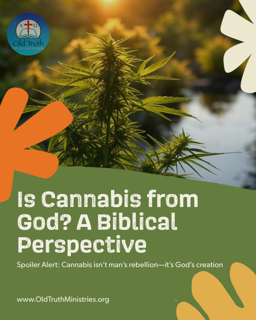 Is Cannabis from God? A Biblical Perspective